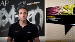 ramin mirza